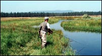 Fishing at Goodrich